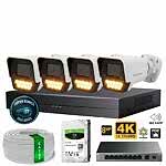 Proton 4 Kameralı Mikrofonlu Sesli 4K POE IP Kamera Seti